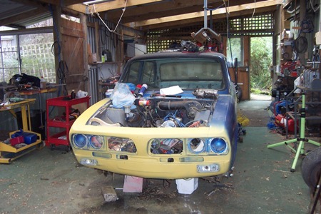 dolly 001.JPG