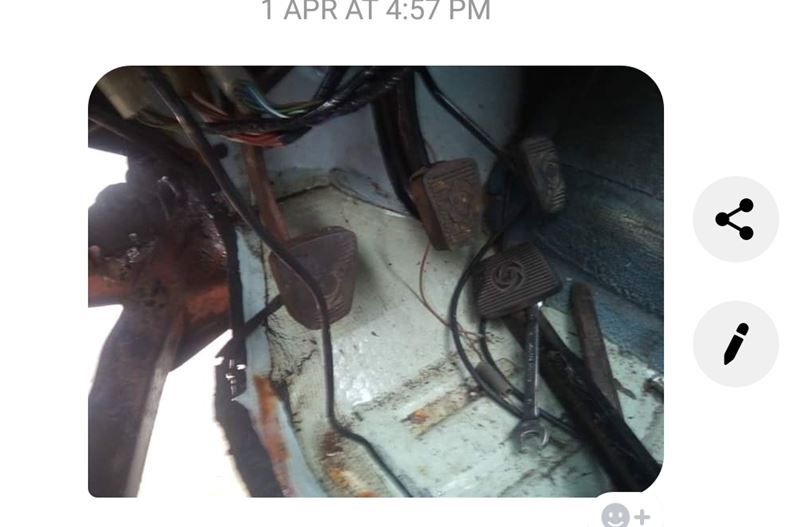 ped.JPG