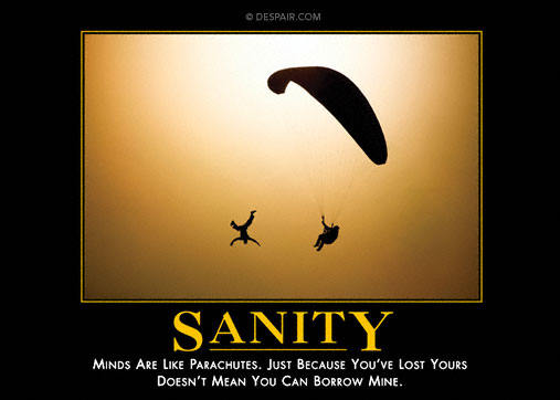 sanitydemotivationalposter.jpg
