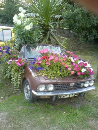 4871-4871-111032_67flower_dolly.jpg
