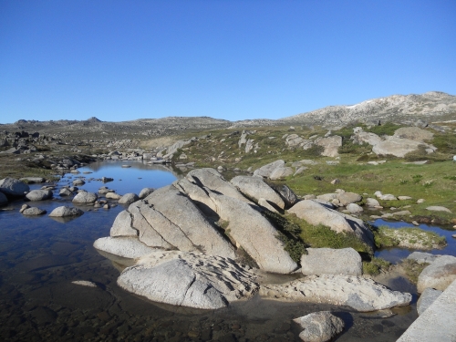Snowy River near Mt Kossie