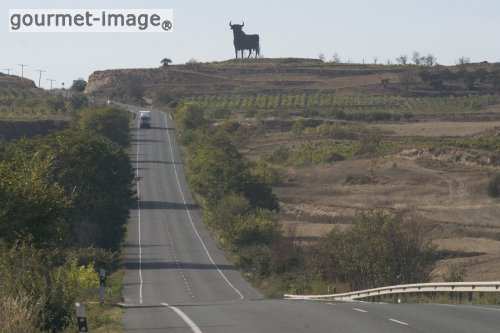 rioja 13.jpg