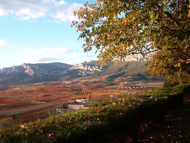 rioja 9.JPG