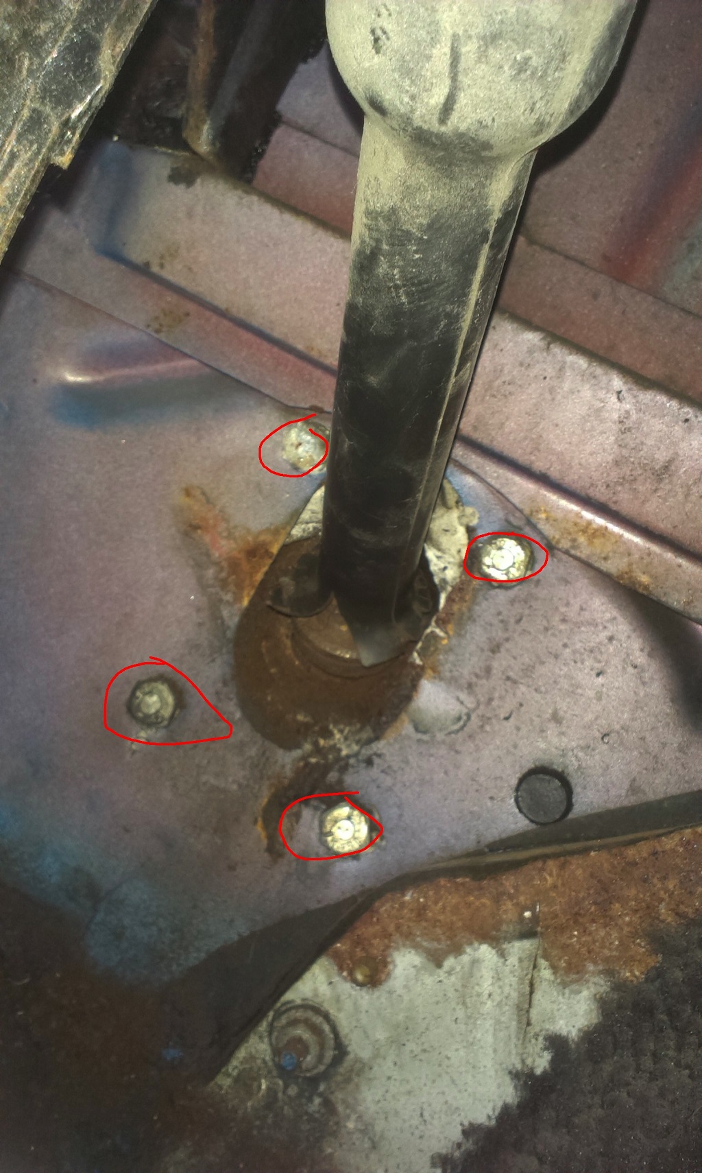 inside paint.jpg