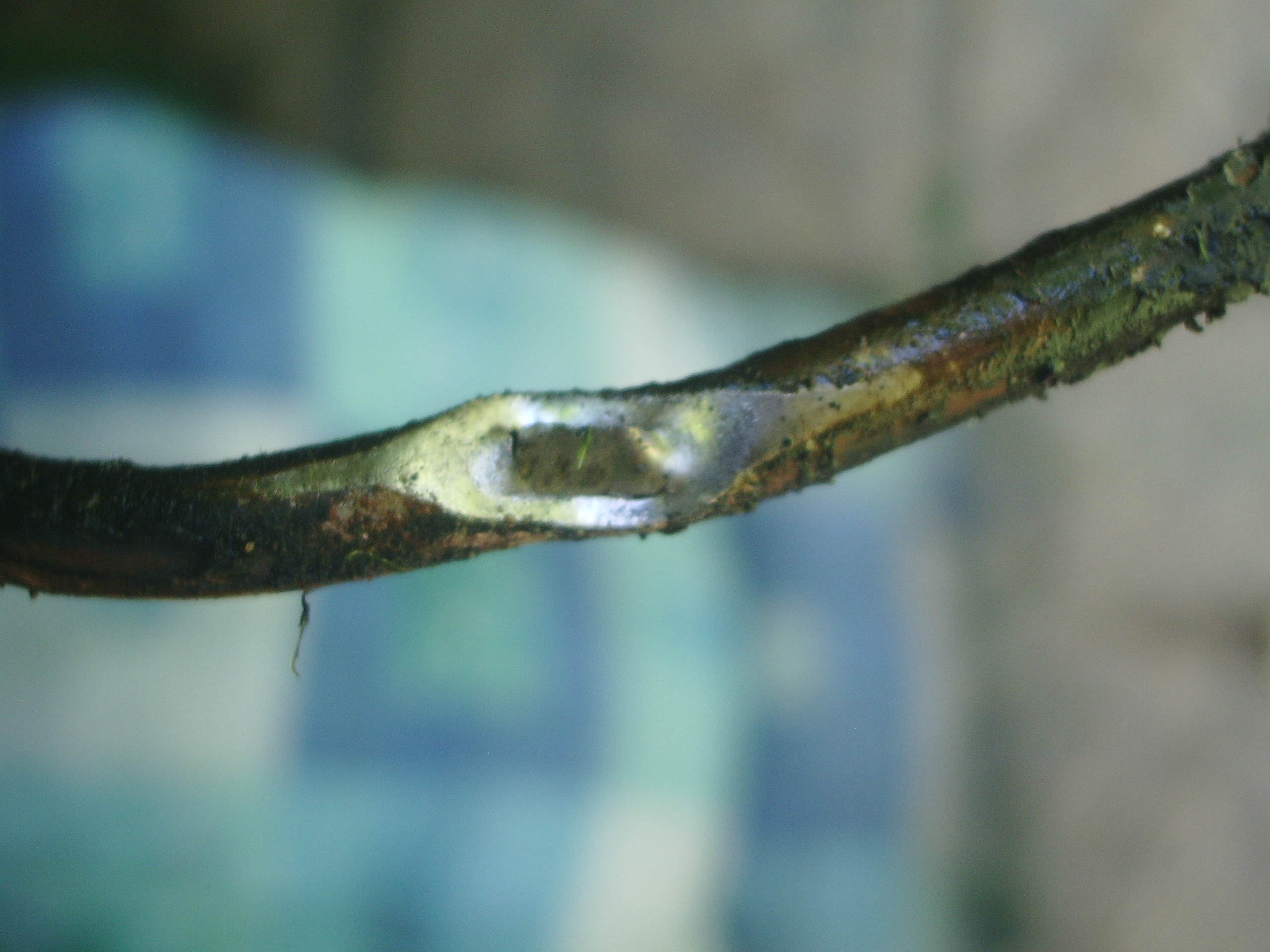 pipe wear.JPG