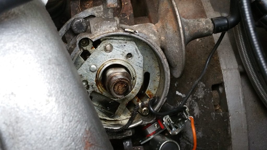 20160326_072853.jpg