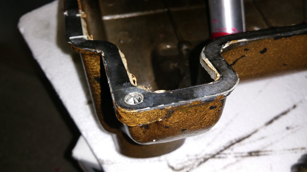 20160402_073404.jpg