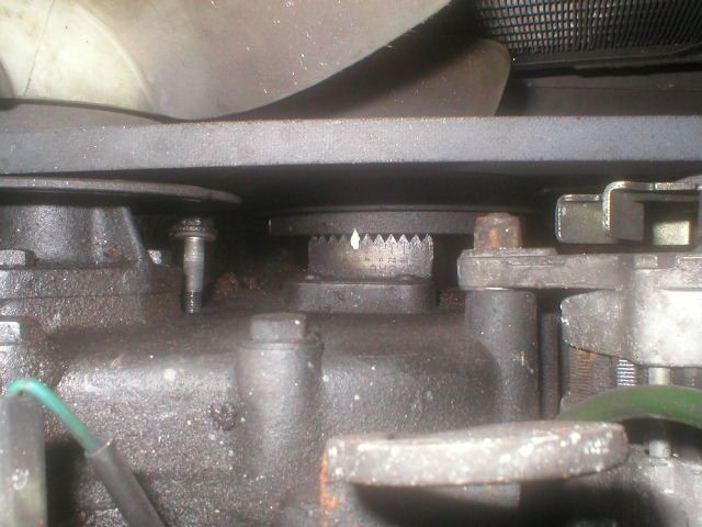 dolly rattly bolt.jpg
